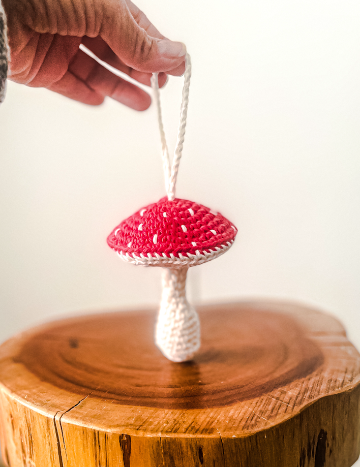 Mushroom Decoration Crochet Kit